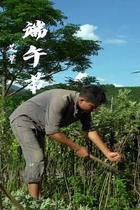 The traditional method of making gingerbread wrappers of the guy in the remote area | Shirly Nuevo Dacut