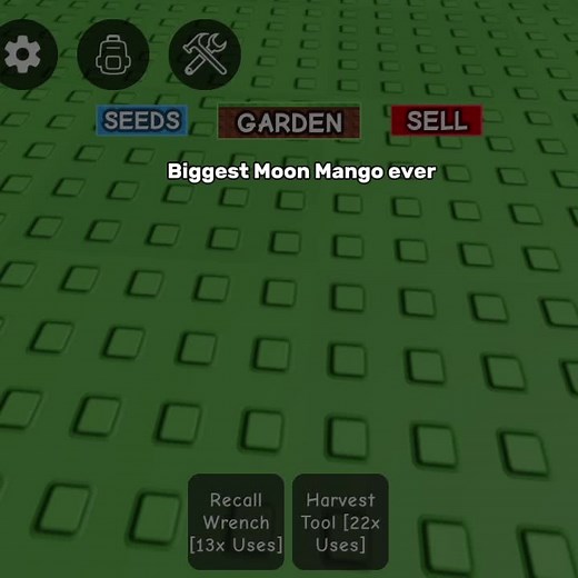 Giant Moon Mango in Roblox: Grow A Garden