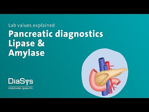 Lab values explained no. 5: Lipase & Amylase