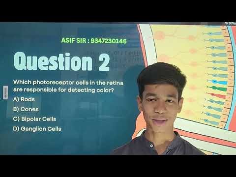 Code and Class Educational Institute