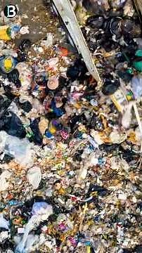 Which country wastes the most food?