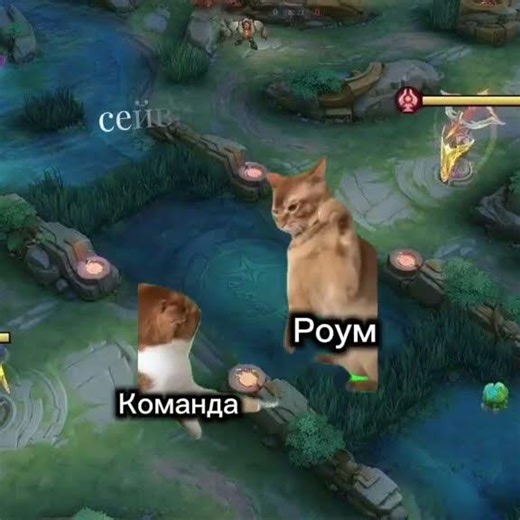 так будет всегда 🥺🥺 #mlb#mobalegends#moba#mlbb#moba5v5#mobilelegends#meme#мобайллегенд