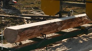 Sawmill. Process of machining logs in equipment sawmill machine saw saws the tree trunk on the plank boards. wood wooden woodworking