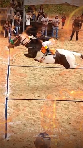 Tornado Fly: A Estrela das Corridas de Cavalos em PE