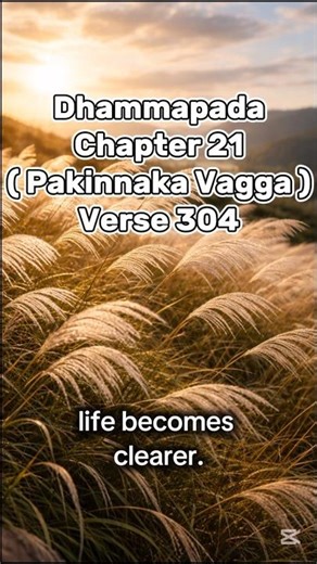 Dhammapada : Chapter 21 (Pakinnaka Vagga) - Verse 304