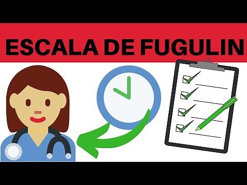 CLASSIFYING PATIENTS: INTENSIVE? HIGH DEPENDENCY? MINIMAL? | FUGULIN SCALE