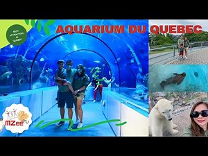 Don’t missed this if you are in Quebec City | Aquarium du Quebec | 4K video