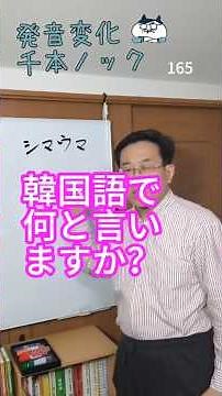韓国語発音変化千本ノック165「シマウマ」韓国語で何と言いますか？ #韓国語学堂 #韓国語発音 #ミレ韓国語学院