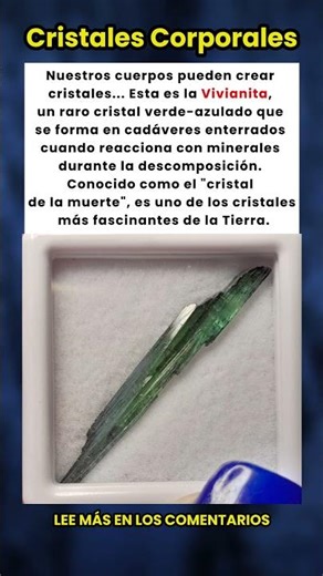 Nuestros Cuerpos Pueden Crear Cristales Después de la Muerte: ¡Conoce la Vivianita! 💎💀