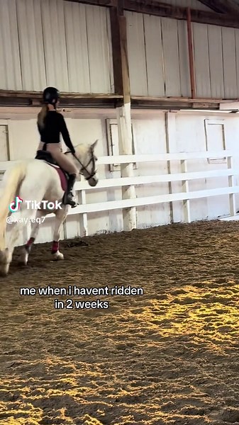 Relatable Equestrian Humor for Horseback Riders