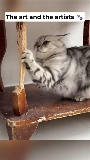 The art and its artists in the same video 😹 #cats