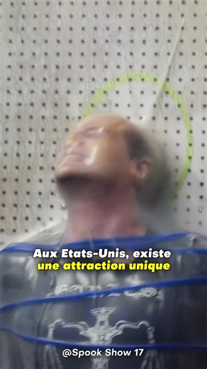 Mais qui oserait faire ça !? #attraction #unique #insolite