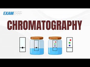 How Chromatography Works: Stationary Phase, Mobile Phase, and Separation Methods