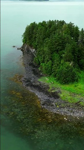 Outer Point, Juneau Alaska is a window into an ancient coastal rainforest ecosystem