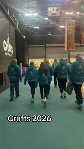 Crufts 2026: Exciting Dog Flyball Championship