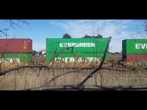 CN Locals EMD GP9RM 7270 GP38-2 7522 & GP9RM 7071 are Pulling Intermodal Containers in Brampton