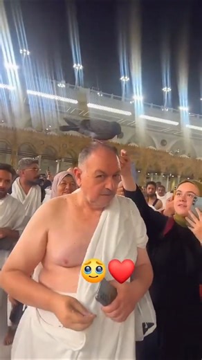 مشهد عفوي لأحد المعتمرين حيث حطت على راسه حمامه وهو يطوف في الحرم المكي #shorts