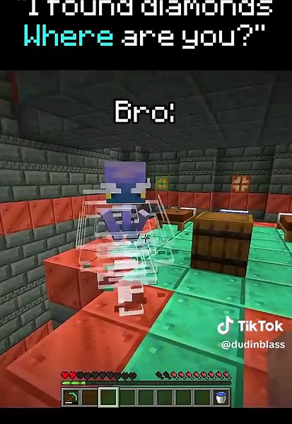 Minecraft Memes and Animations: Fun Building Ideas