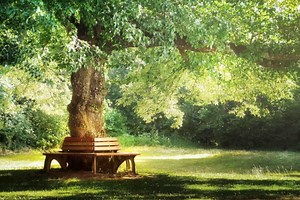 Everything Stays Kalimba Tabs Letter & Number Notes Tutorial - KalimbaTabs.net