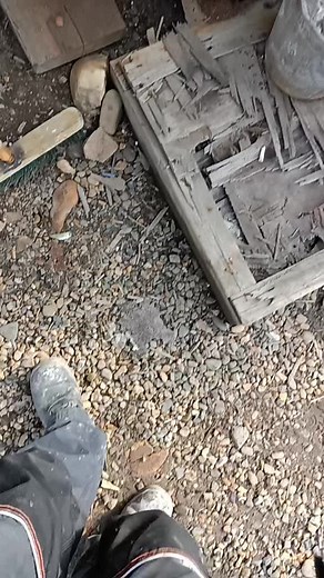 Exploring an Old Electrical Box Outdoors