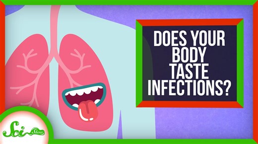 The really important reason your lungs have taste receptors