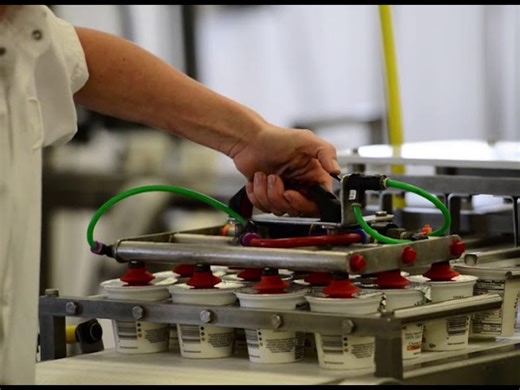 How Yoghurt Is Made - From Beginning To End