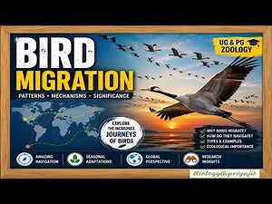 Bird Migration: Patterns, Causes & Importance | UG & PG Zoology