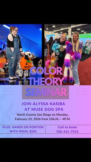 Angela Schoonover and Zoe on Instagram: "We are excited to announce a Color Theory class by Alyssa Kasiba @toesnbows ❣️ Alyssa is a well known and respected creative groomer in our industry, has taught in multiple countries, and competes🐾 The class will take place @musedogspa on Monday, February 23, 2026 from 10-4. Alyssa will first demonstrate Color Theory, then we will have a hand’s on portion with wool and @opawz dye for you to practice. Everything needed to participate is included, w