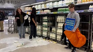 Animal Rebellion protesters pour milk over produce and floors at supermarkets