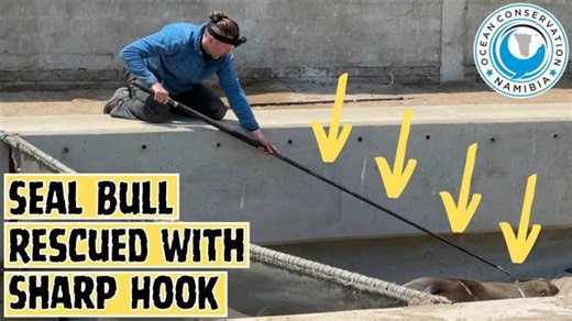 849K views · 20K reactions | This was a tense moment! The rescuer...