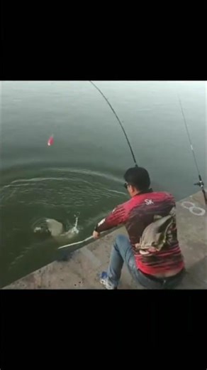 Bichao bruto ligado no 12🤩🎣🏆🔥🔥