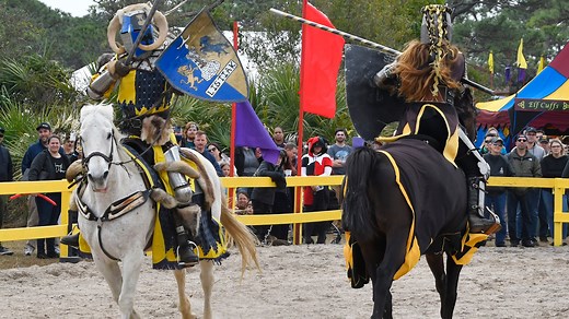 Chivalry, costumes and fun: The 2023 Renaissance Fair takes over Wickham Park