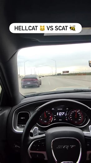 MJD.POVs on Instagram: "Snowbunny inna scat tried to run from a cat😂 . . . . . #hellcat#explore#viral#dodge#charger"