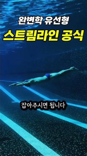 물의 저항을 0으로! 완벽한 '스트림라인' 3대 공식 🚀
