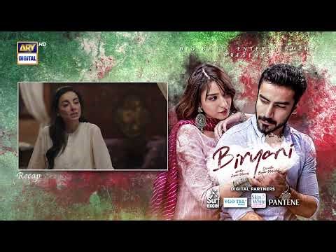 Biryani Episode 20 | RECAP | Khushhal Khan | Ramsha Khan | ARY Digital Drama