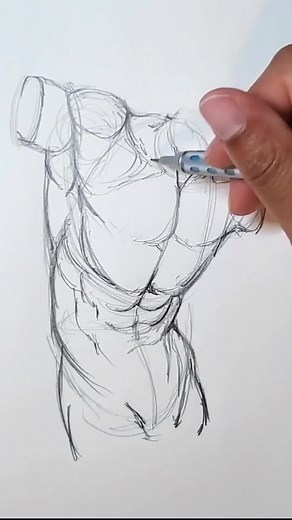 How to draw the torso in action. 👊