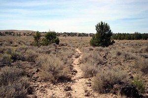 Applegate Trail - Alchetron, The Free Social Encyclopedia