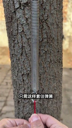 巧挂树春，家居改造新花样