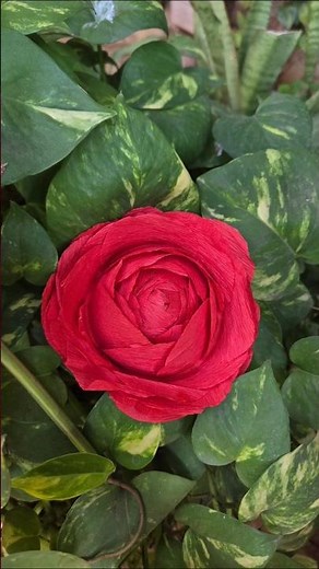 DIY Realistic Paper Rose 🌹 | Easy Crepe Paper Rose Tutorial | Handmade Flower Craft