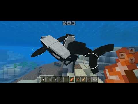 Seaworld orca in Minecraft#minecraft 🪖