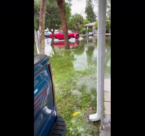 Man jokes about flooding yard after heavy rain in Palm Beach, Florida, USA