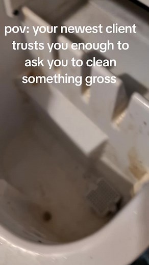 Cleaning Ice Maker: Trust and Transformation