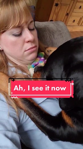 Oooh. Okay. I see it now. #DontCare #Rottweiler #LuluTheRottweiler #kisses #dogsoftiktok #snuggles #fyp #foryou