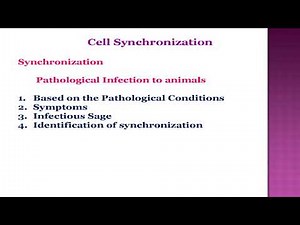 Cell Synchronization