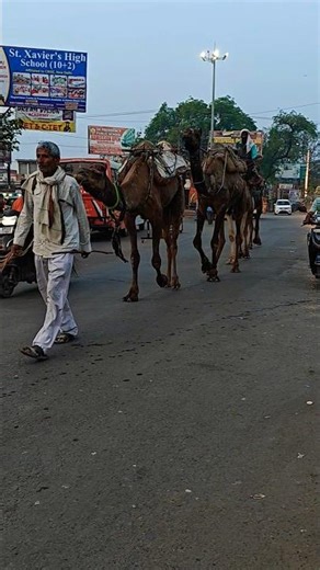 Original Rar File A Morning India #shortvideo #motivation #reels