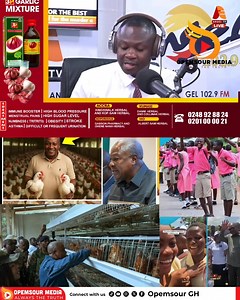 SHSs to establish poultry and livestock farms soon – President Mahama.@For-The-Records @With all due respect @OnuaCaptainSmart @Angel102.9FM #ghana #shs #fyp #opemsourgh🎤🎤🎹🎹🎼🎸🎸🙏🏽🙏🏽🤝 | Opemsour GH