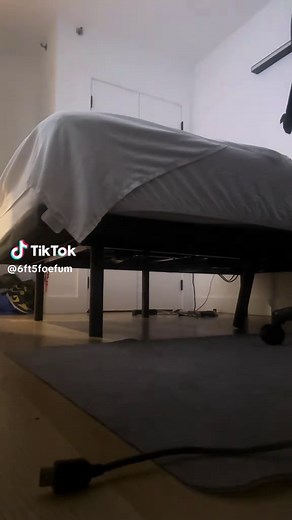 Checking Under the Bed at 3AM—A Hilarious Cat Encounter