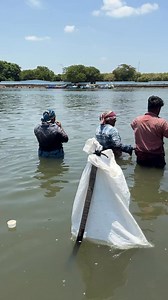 Big mouth mullet fish | Snakehead Angler Amar