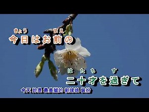 A06-594 娘よ (女兒呀 ～) 芦屋雁之助