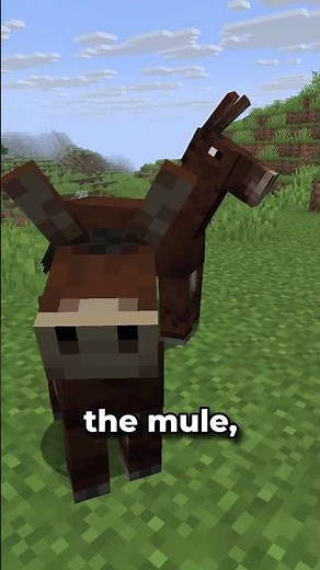 Minecraft Java Edition - 26.1 Snapshot 4 Quick Showcase: New Baby Mount Skins! #minecraft #shorts